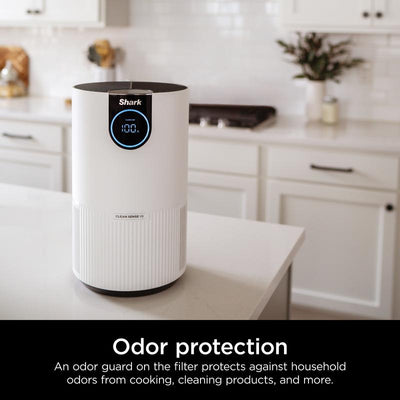 Air Purifier with True HEPA