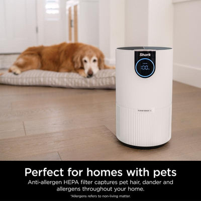 Air Purifier with True HEPA