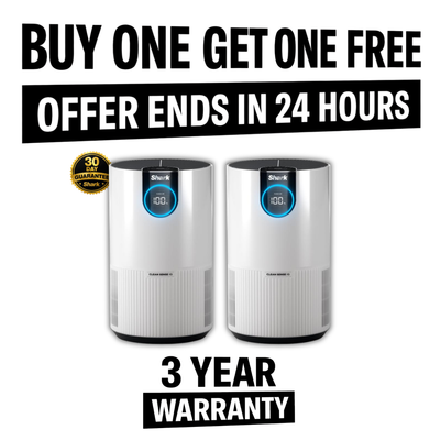 Air Purifier with True HEPA